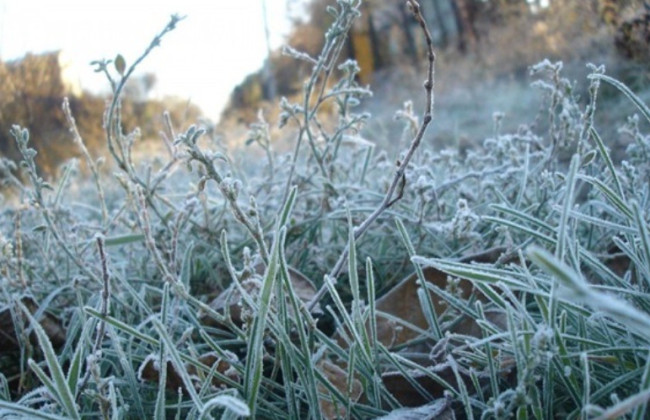 Жителів Київщини попередили про заморозки