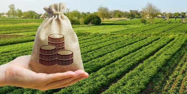 Земля в собственности не весь год: как рассчитать МНО