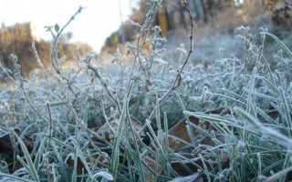 Жителей Киевской области предупредили о заморозках