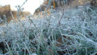 Жителей Киевской области предупредили о заморозках