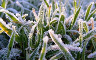 В Україні прогнозують грози, шквали та заморозки – які області накриє негода