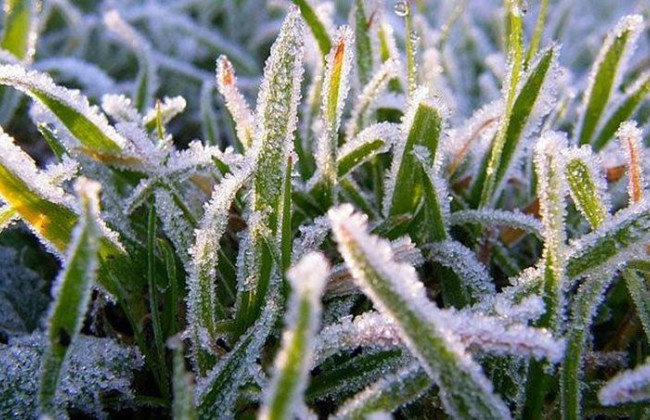 В Украине прогнозируют грозы, шквалы и заморозки — какие области затронет непогода