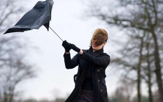 Негода на Львівщині знеструмила 103 населені пункти – вітер поламав дерева та позривав дахи будівель