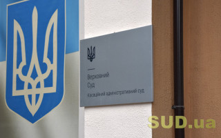Чи може управління ДМС ініціювати службову перевірку за інформацією адвокатського запиту — відповідь КАС ВС