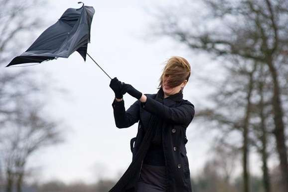 Непогода во Львовской области оставила без электричества 103 населенных пункта — ветер повалил деревья и сорвал крыши с зданий