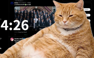 Для Chrome випустили розширення із сонним рудим котом, який не дає засиджуватися в соцмережах