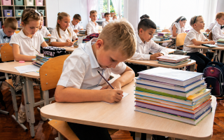 В Украине ввели двухлетний цикл учебников: как изменится обеспечение школ