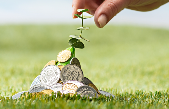 Земельный налог – как подтвердить право на льготу и уменьшить начисление