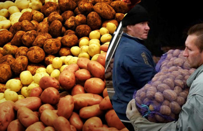 Продали картоплю, помідори або худобу — чи потрібно платити податки