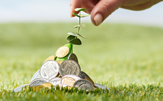 Земельный налог – как подтвердить право на льготу и уменьшить начисление