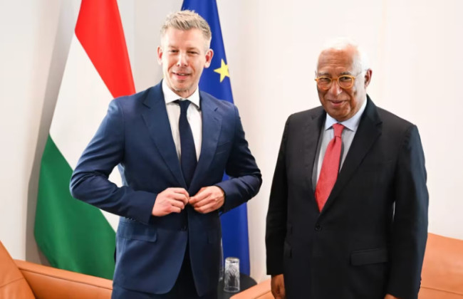 Петер Мадяр обговорив з ЄС перспективи відкриття переговорних кластерів про вступ України в ЄС