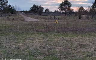 У Чорнобильській зоні бізнесмени упродовж шести років вирощували пшеницю та кукурудзу – оголошено підозри