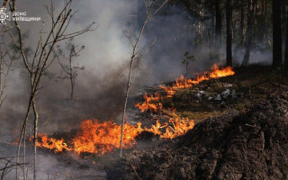 Через масштабні пожежі у зоні відчуження готують нові протипожежні заходи та перевірки