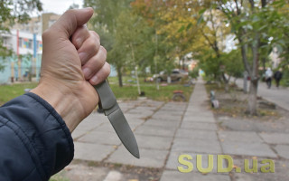 В Одесской области уклонист с ножом напал на работников ТЦК, они в тяжелом состоянии