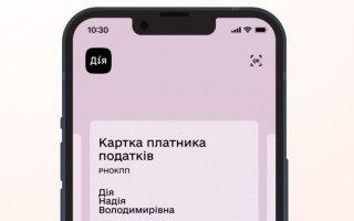 Как оформить налоговый номер ребенку за границей — доступные онлайн- и почтовые способы