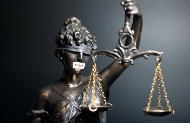 Адвокаты заявили о рисках ограничения права на судебную защиту в анти-SLAPP законопроекте