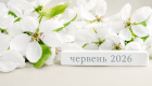 Выходные в июне 2026: получат ли украинцы дополнительные дни отдыха на Троицу и День Конституции