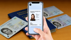 Дия не видит ID-карту или заграничный паспорт — что делать