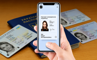 Дия не видит ID-карту или заграничный паспорт — что делать