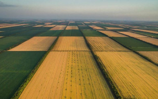 Фермерські землі: хто є законним користувачем після створення господарства
