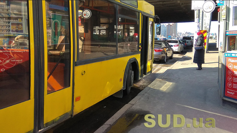 В Киеве организуют движение автобусов к музею под открытым небом в Пирогово