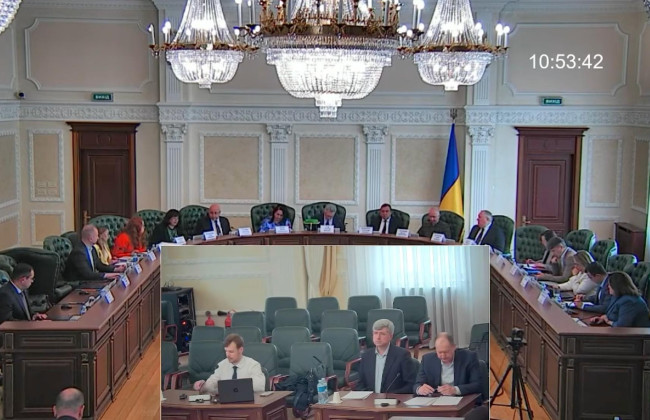 ВСП отстранил судью Большой Палаты Верховного Суда Жанну Еленину на время досудебного расследования