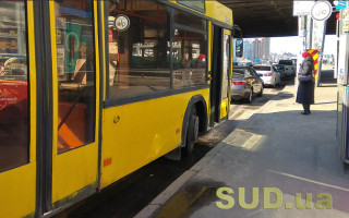В Киеве организуют движение автобусов к музею под открытым небом в Пирогово