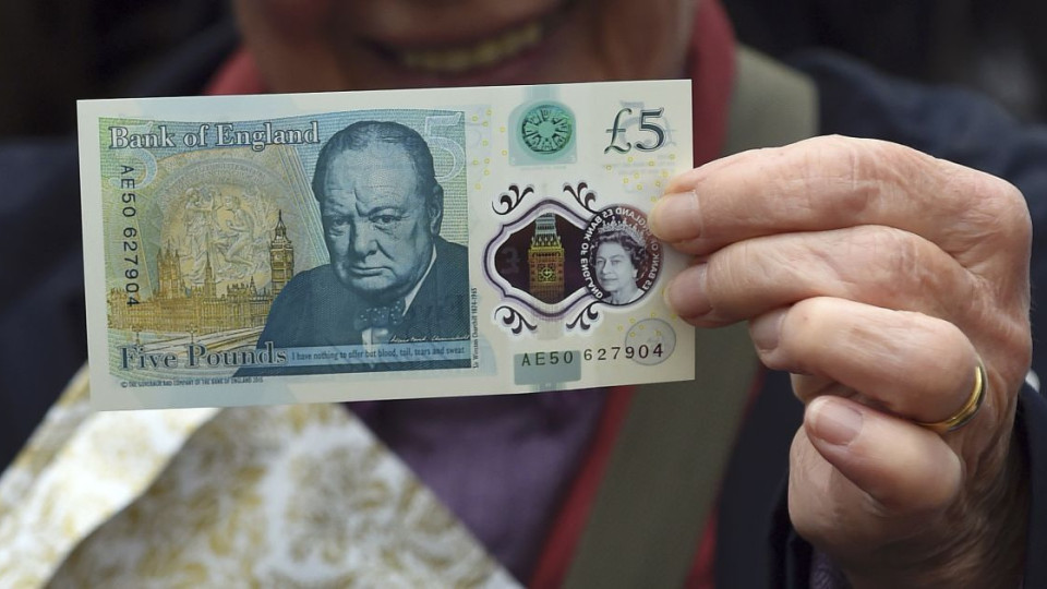 Bank of England opens voting: who will replace Churchill and others on banknotes — frog, fox, or eagle