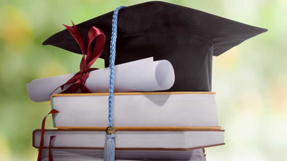 Master's Admission 2026: The Most Popular Specialties Among Applicants Announced