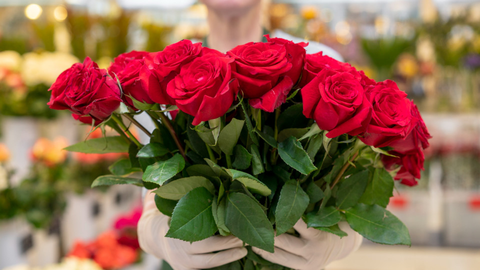 The Verkhovna Rada's TSC called the fight against rose smuggling one of the most successful cases of the year