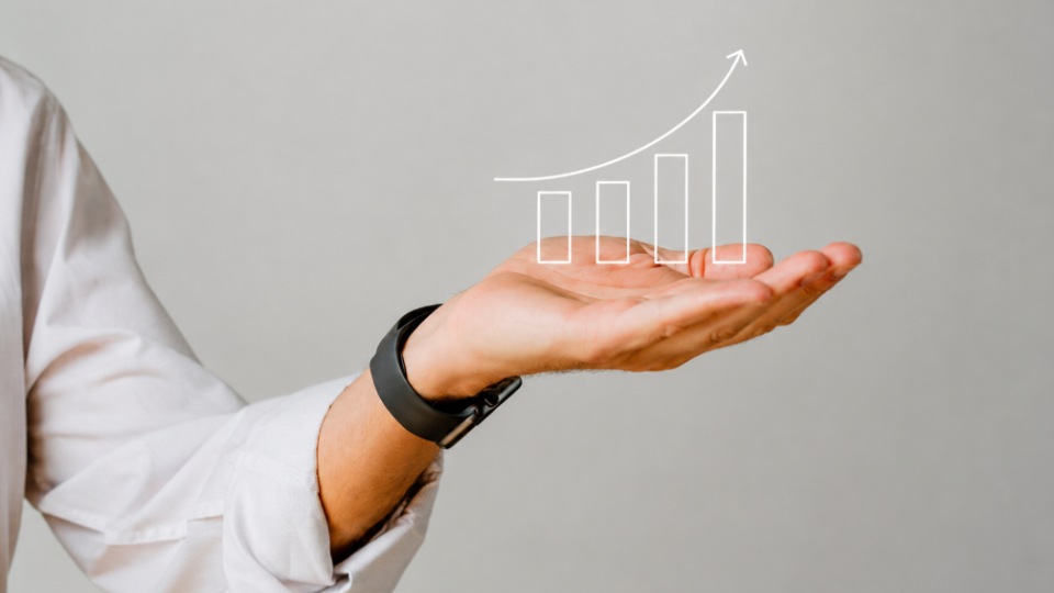 Asset Protection, Compensation, and Investments: Key Legal Tools for Business Protection During War