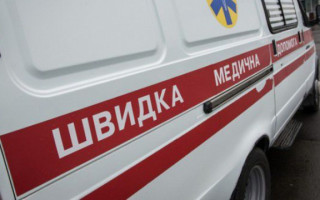 На Буковине во время экскурсии обрушился деревянный мост, на котором находились дети — видео