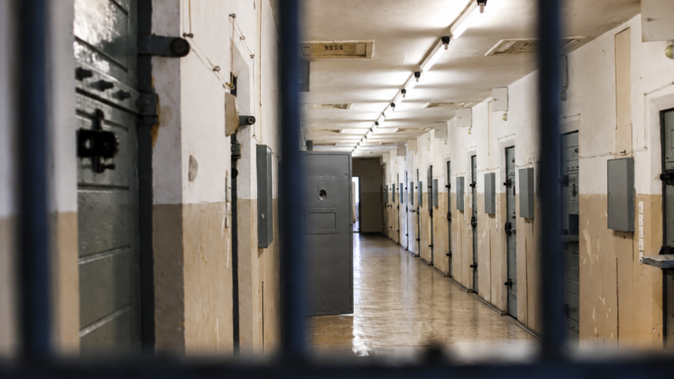 Prosecutor's Office to Lose Oversight of Pre-Trial Detention Centers and Colonies: Who Will Inspect Places of Detention
