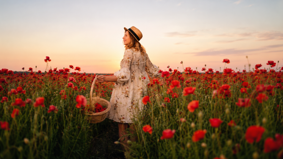 Ukrainians May Be Fined for Photoshoots in Poppy Fields: When Responsibility Arises