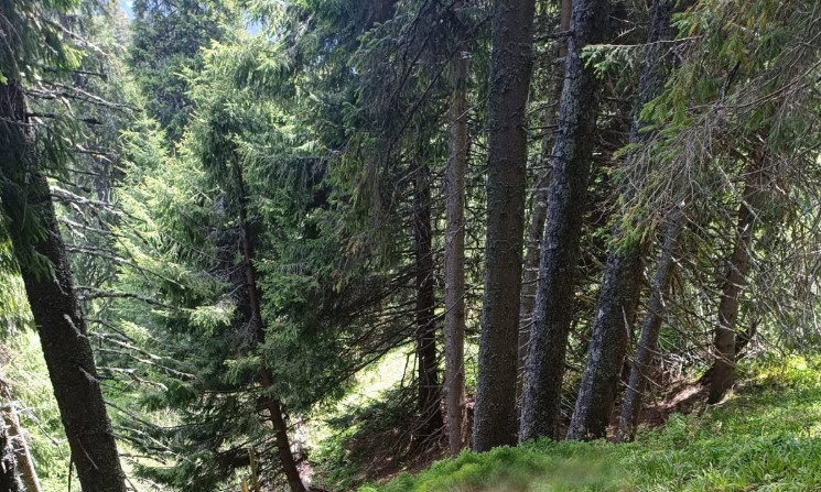 Body of a man found near the border with Romania