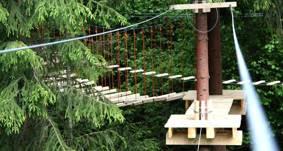 A teenager unofficially employed as a rope park instructor fell from an 8-meter height – the entrepreneur tried to appeal a 3-year restriction of liberty