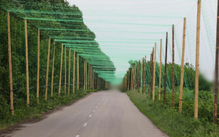 Anti-drone nets will be installed near the border with Belarus in Volyn