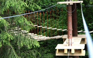 A teenager unofficially employed as a rope park instructor fell from an 8-meter height – the entrepreneur tried to appeal a 3-year restriction of liberty