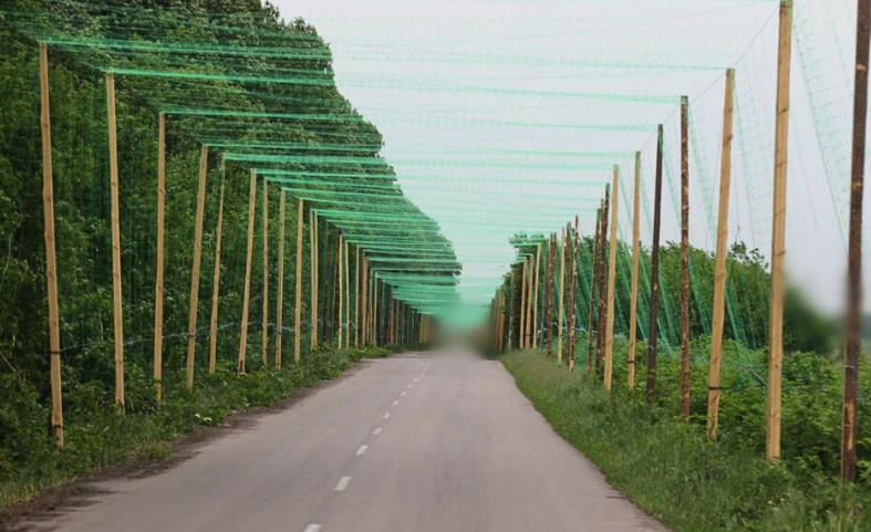 Anti-drone nets will be installed near the border with Belarus in Volyn