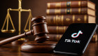 Як суд покарав користувача TikTok за проросійські відео та «поливання брудом» Президента України – матеріали справи