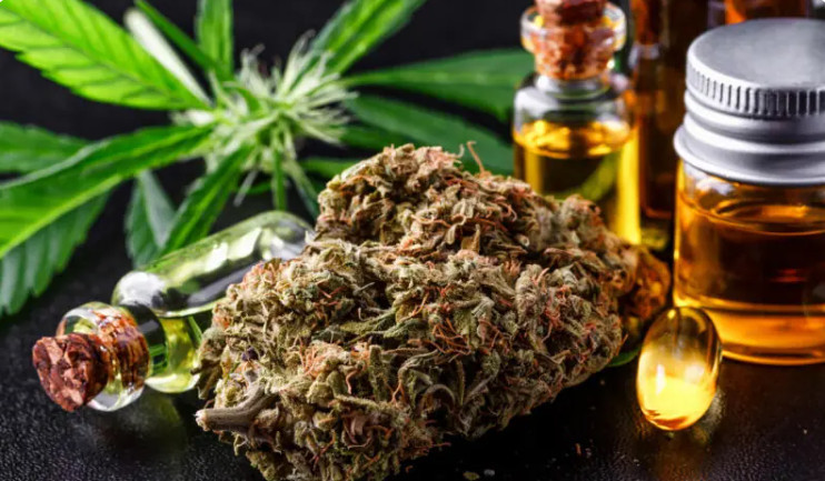 In which cities medicines based on medical cannabis are already sold: there are six