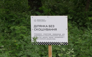 В Киеве за год резко выросло количество участков с режимом ограниченного покоса: что это даст