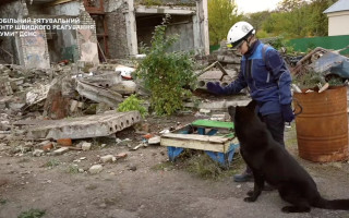 В ГСЧС сообщили о смерти легендарной поисково-спасательной собаки Хана