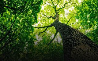 The only region without a national park – 