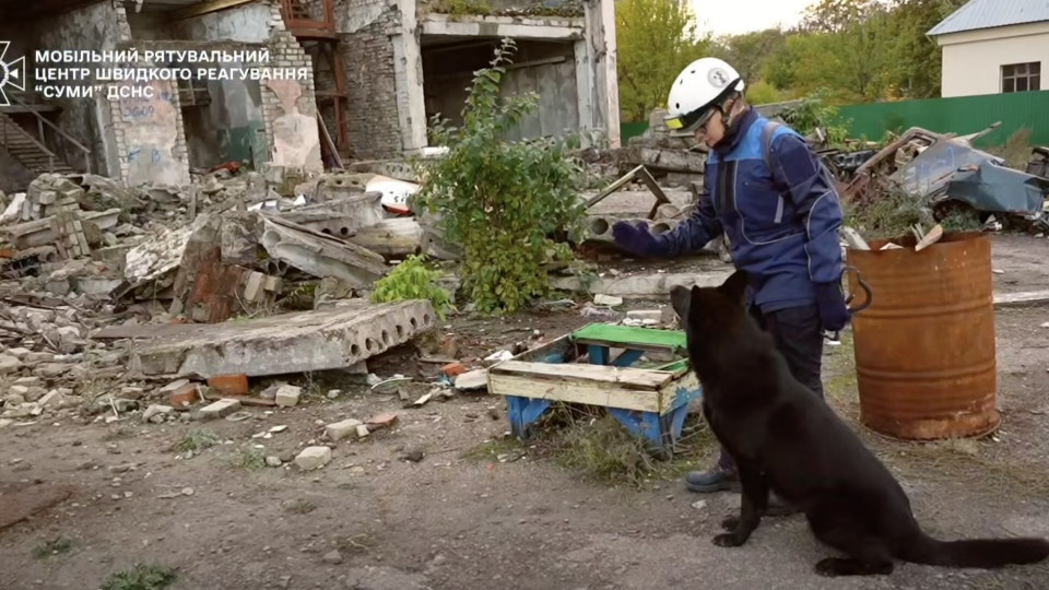 The State Emergency Service reported the death of the legendary rescue dog Khan