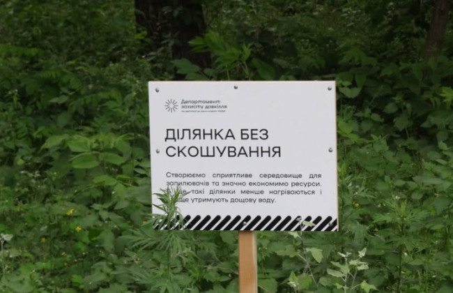В Киеве за год резко выросло количество участков с режимом ограниченного покоса: что это даст