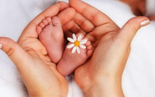 How to Obtain a Ukrainian Birth Certificate for a Child from Temporarily Occupied Territories – Procedure