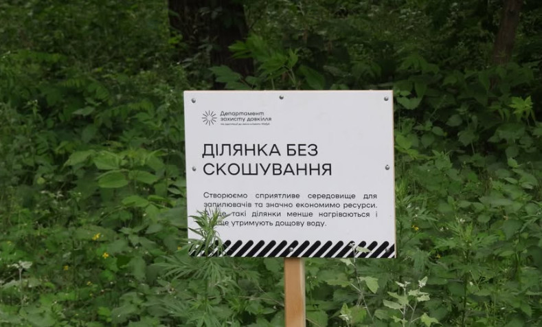 In Kyiv, the number of areas with limited mowing regime sharply increased in a year: what this will bring