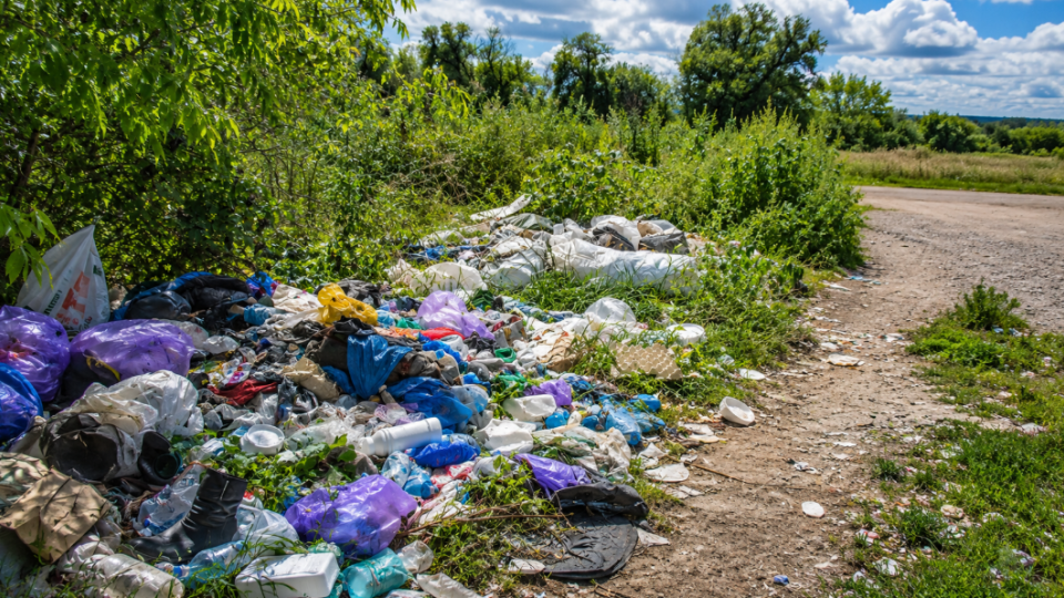 For dumping garbage "in the planting area" you can be fined 51 thousand hryvnias or imprisoned for 10 years