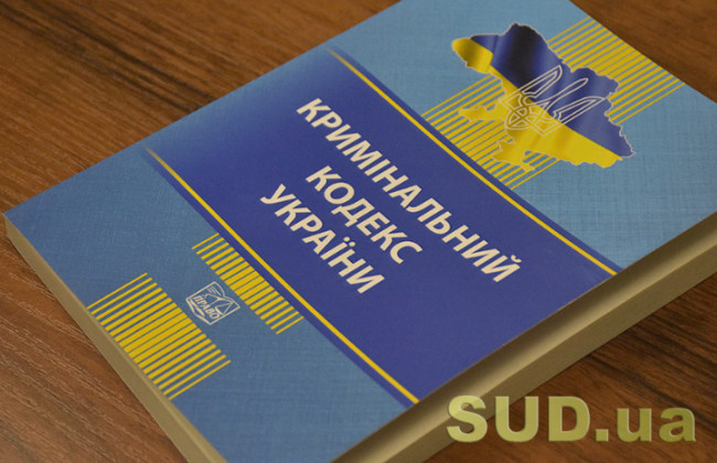 Норму об «украинофобии» могут не поддержать из-за риска дублирования действующих положений Уголовного кодекса